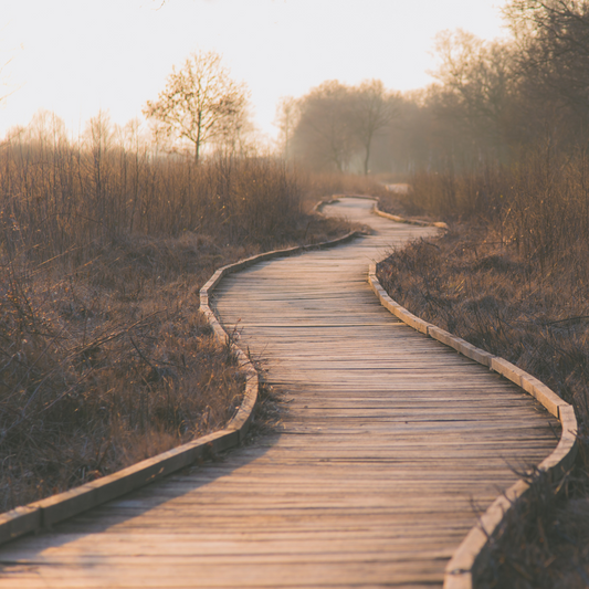 6 Signs You're Ready To Take The Next Step In Your Career