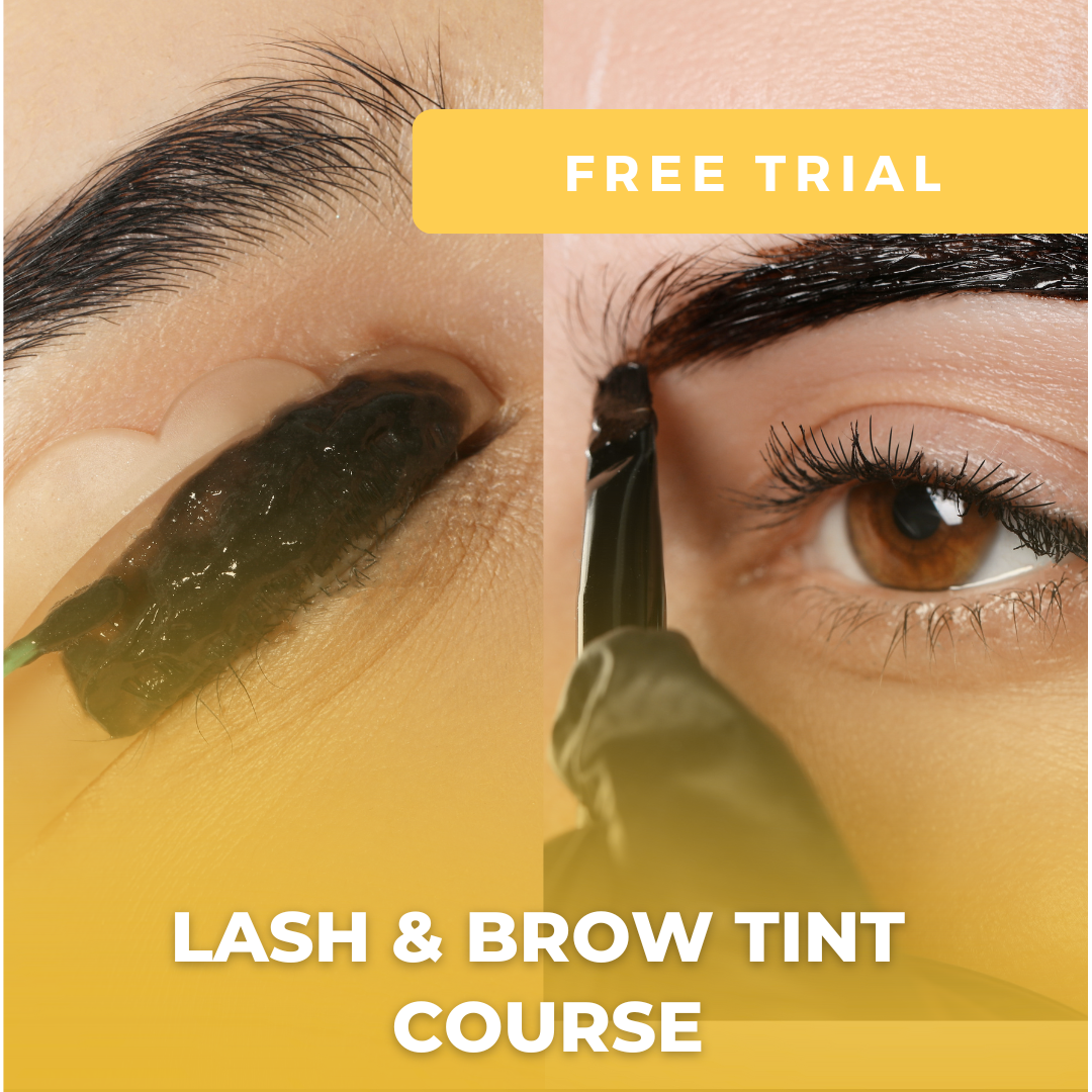 FREE Trial - Lash and Brow Tinting Online Course