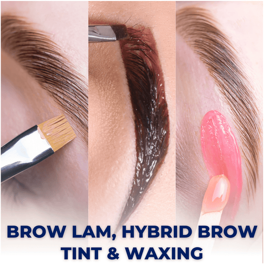 Complete Brow Master Online Course