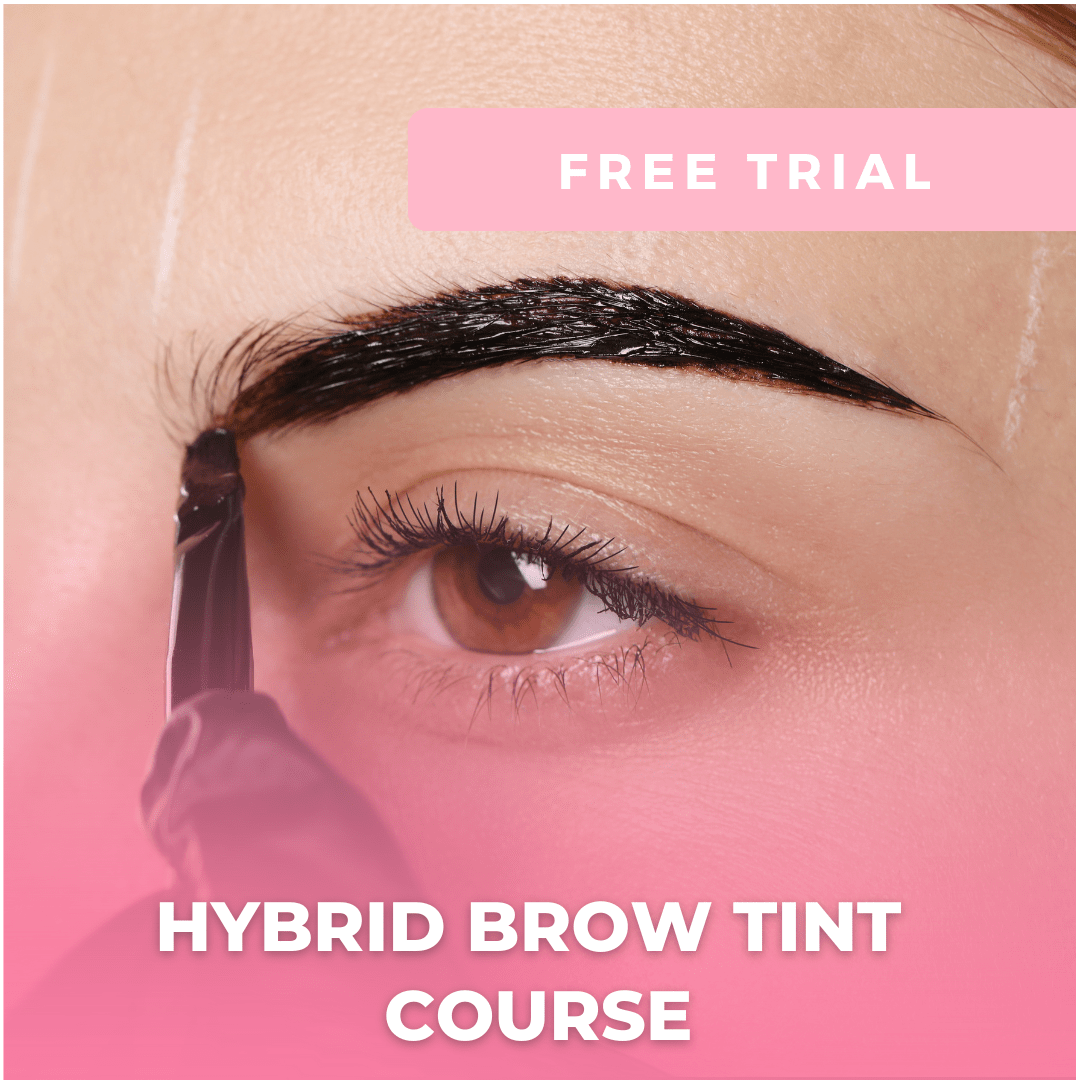 FREE Trial - Hybrid Brow Tint Online Course