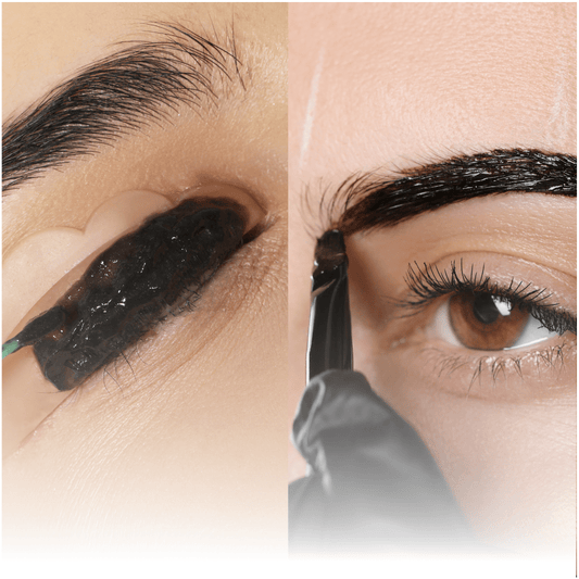 Lash & Brow Tinting Online Course