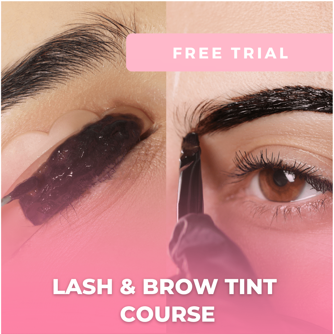 FREE Trial - Lash and Brow Tinting Online Course