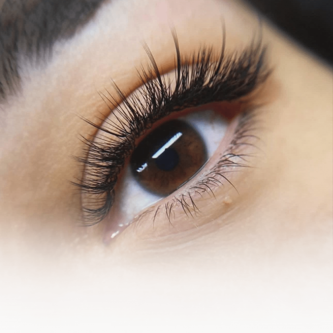 Anime Lashes Online Course