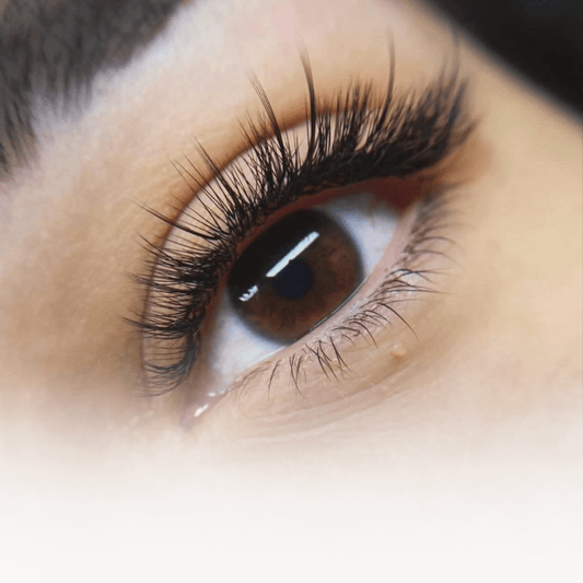 Anime Lashes Online Course
