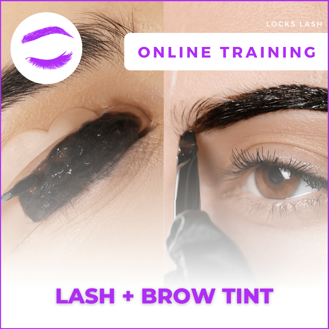 Lash & Brow Tinting Course (Course ONLY)