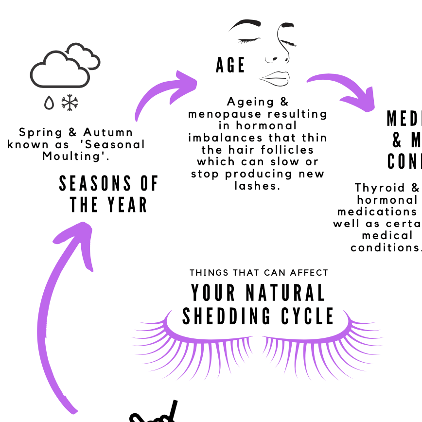 FREE Downloadable Shedding Cycle Info Poster