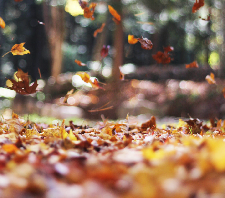Seasonal Changes & Lash Glue: What Every Lash Artist Needs to Know