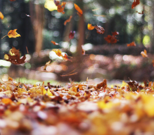 Seasonal Changes & Lash Glue: What Every Lash Artist Needs to Know