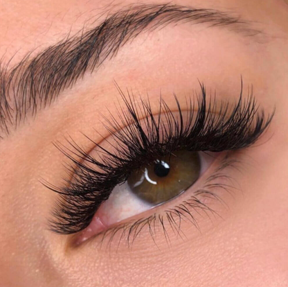 *NEW* Wispy Lashes Online Course