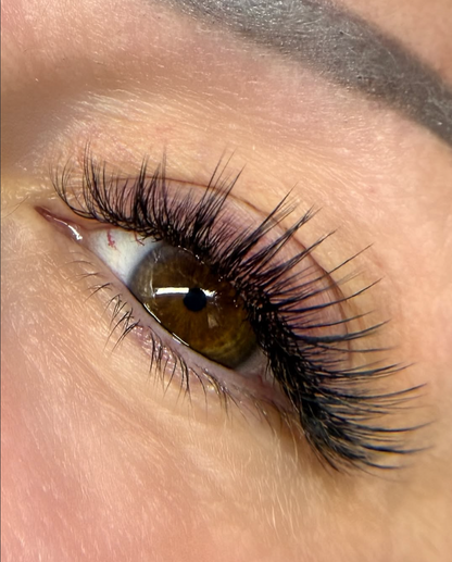 *NEW* Wispy Lashes Online Course