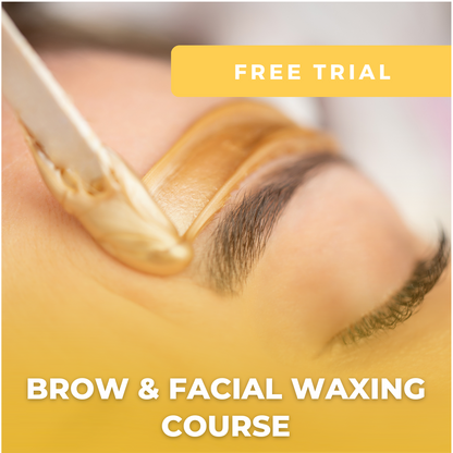 FREE Trial - Brow and Facial Waxing Online Course