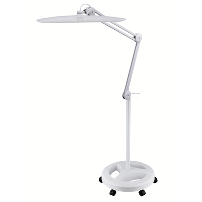 Light - Lash light CLEARANCE (Lamp)