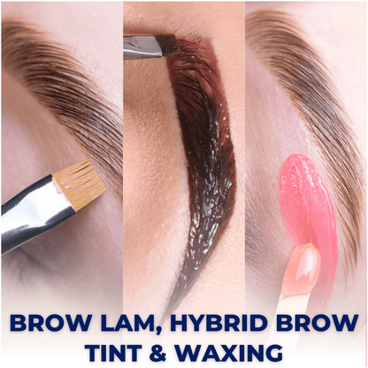 Complete Brow Master Online Course