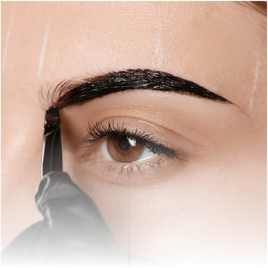 Hybrid Brow Tint Online Course