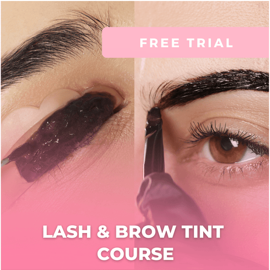 FREE Trial - Lash and Brow Tinting Online Course