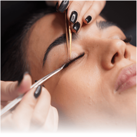 How to Get Started with Models Mini Course