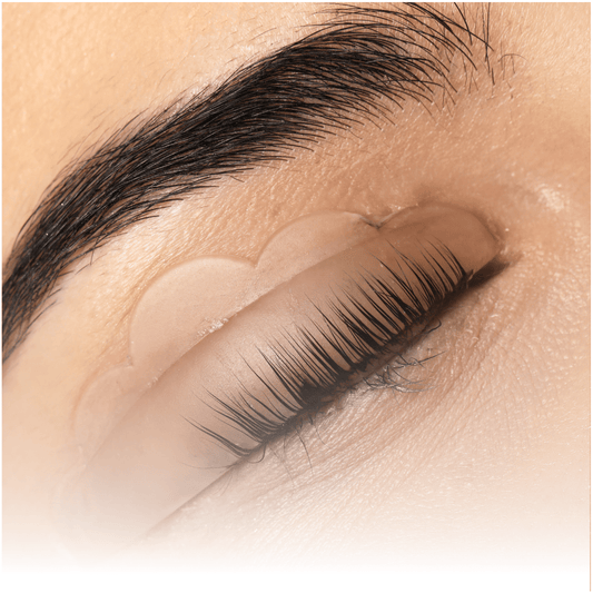 Lash Lift Online Course