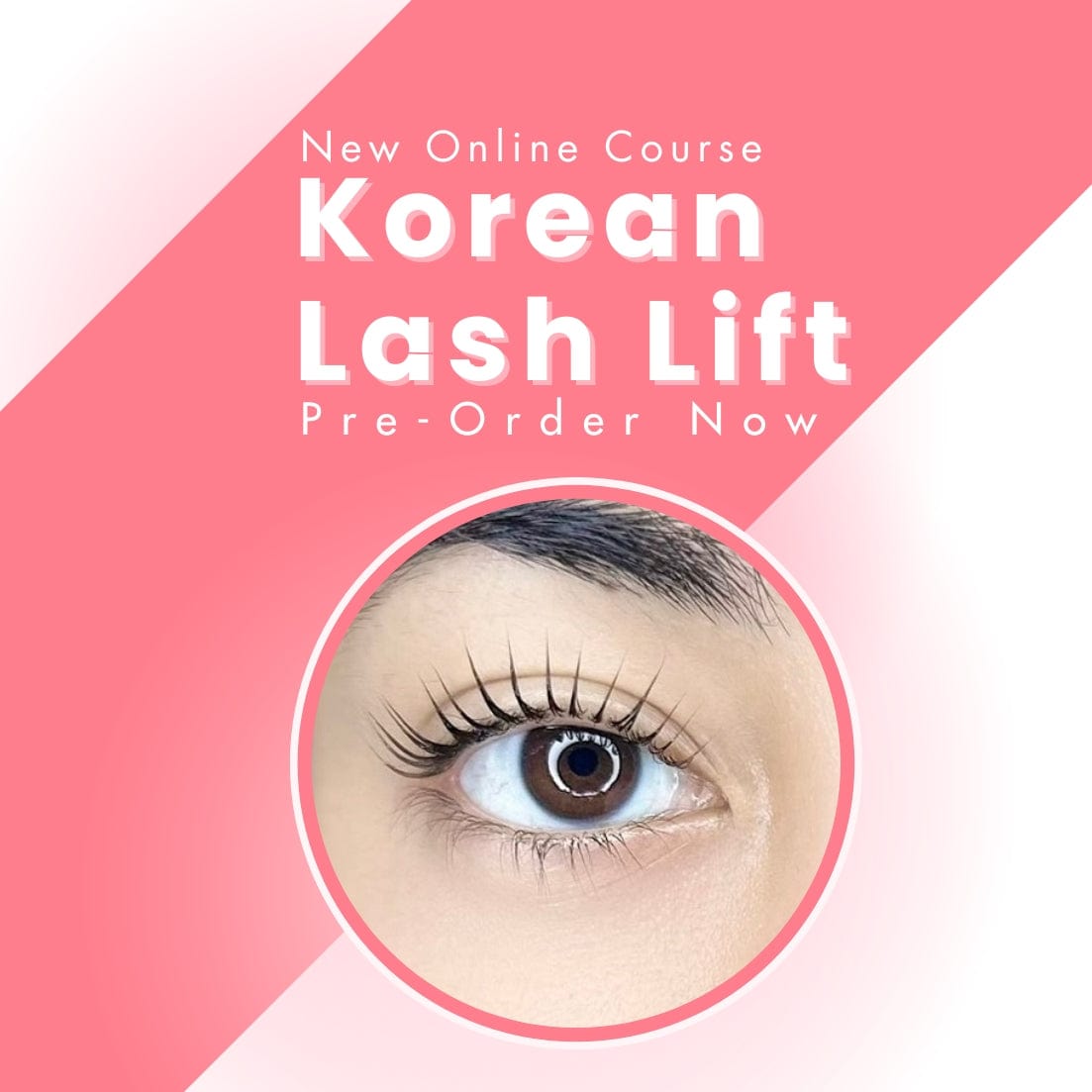 Korean Lash Lift Online Course (Pre-Order)