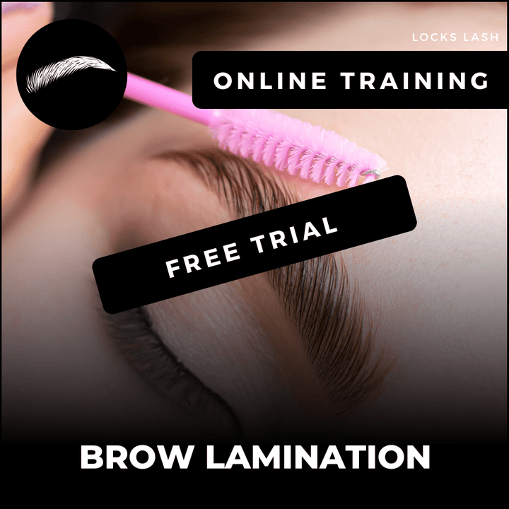 Try Before You Buy For FREE - BROW LAMINATION COURSE
