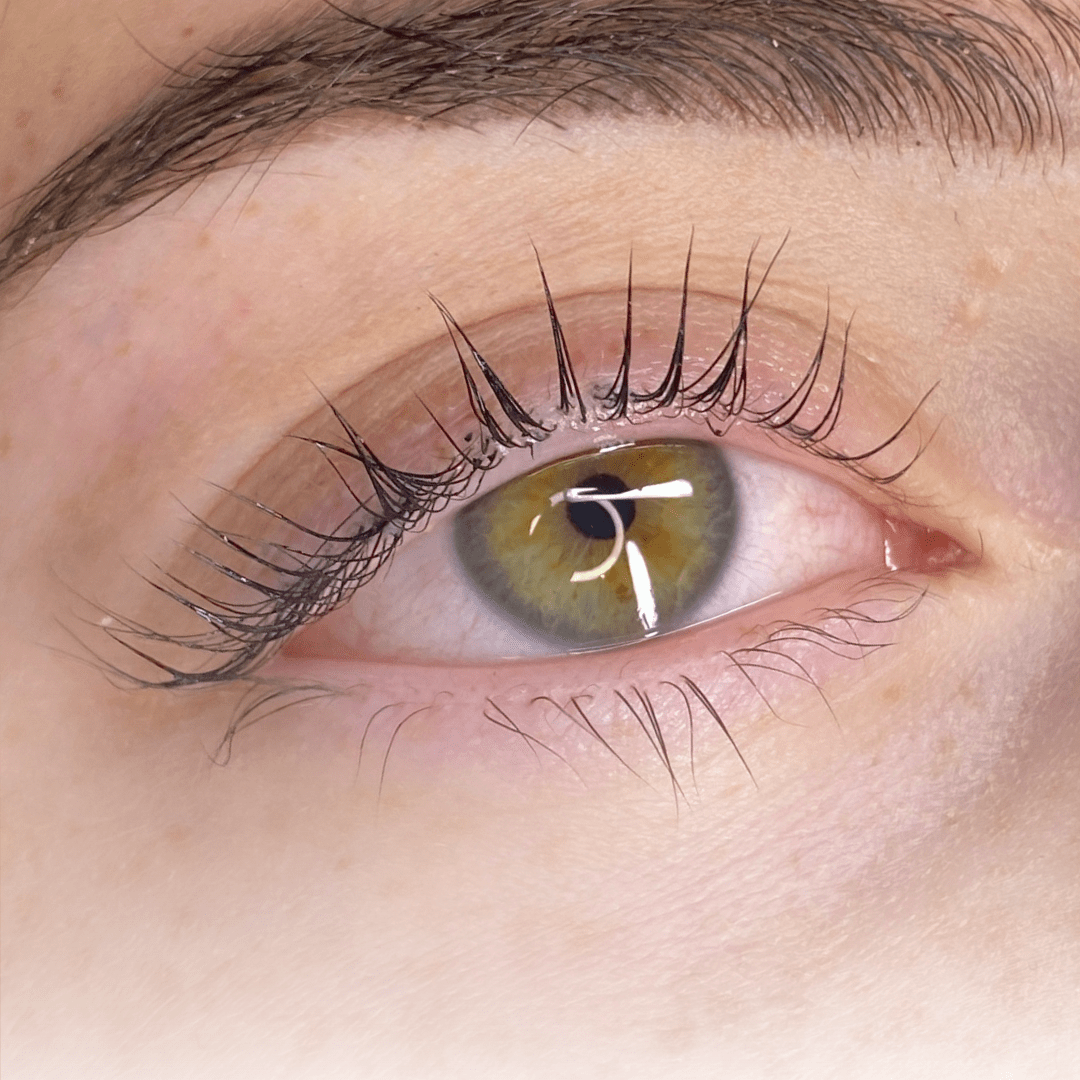Korean Lash Lift Online Course (Pre-Order)