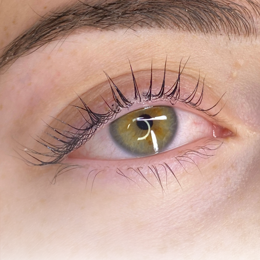 Korean Lash Lift Online Course (Pre-Order)