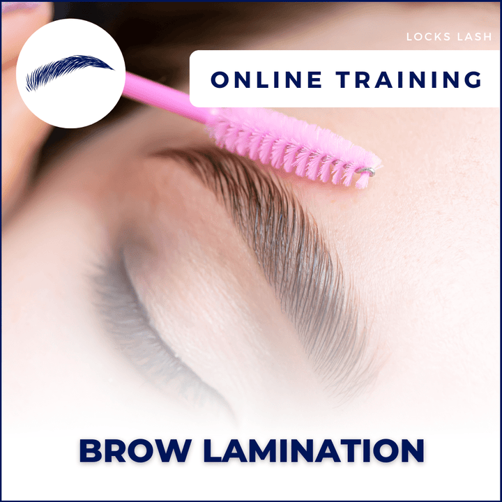 Brow Lamination Course