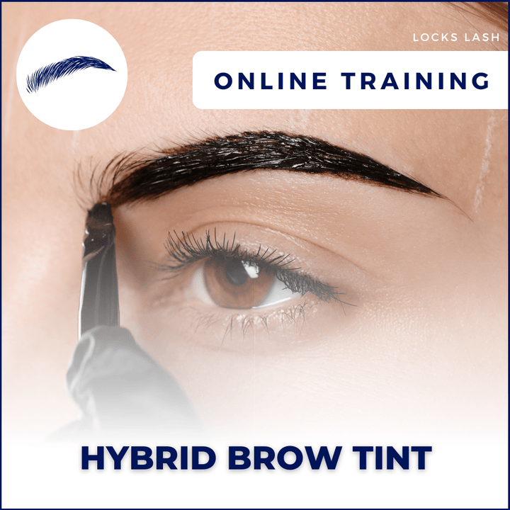 Hybrid Brow Tint Course