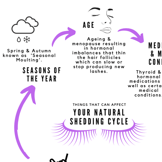 FREE Downloadable Shedding Cycle Info Poster