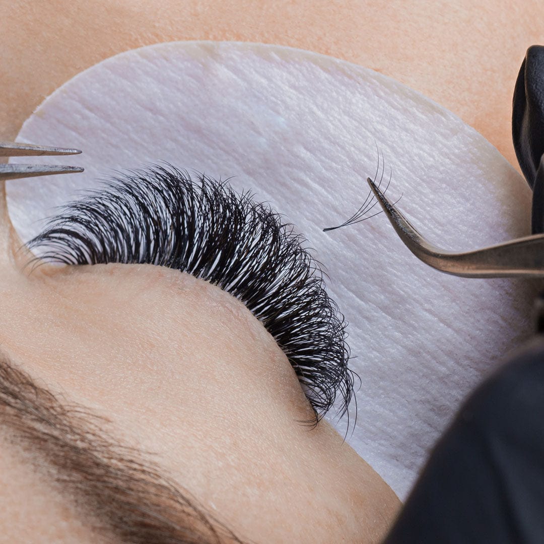 complete lash artistry course